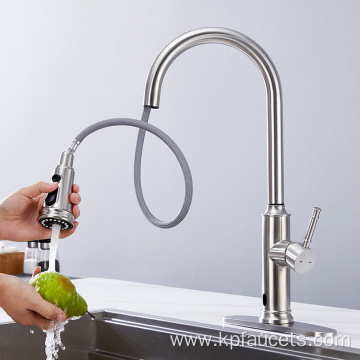 Brush Nickel Chrome Flexible Kitchen Faucet